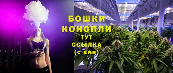 ГАЛЛЮЦИНОГЕННЫЕ ГРИБЫ Беломорск