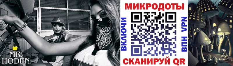 закладка  Сургут  Псилоцибиновые грибы GOLDEN TEACHER 
